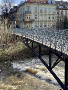Brücke mit Schaukel über der Dreisam