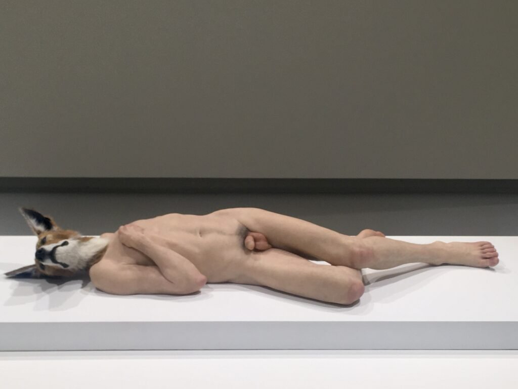 Eine Skulptur in enem Museum: ein liegender männlicher Akt mirt einem Fuchskopf