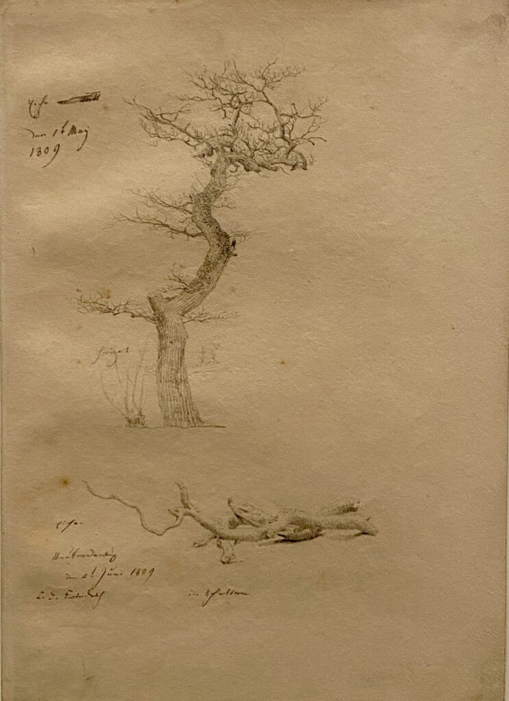 Sepiastudie eines kahlen Baumes von Caspar David Friedrich