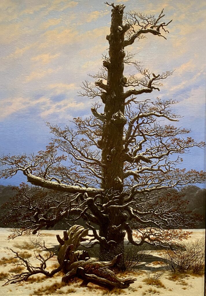 Ein Bild von Caspar David Friedrich, das einen kahlen Baum mit Schneeresten auf den Zweigen zeigt